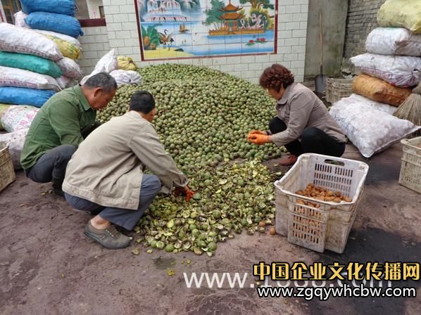 輪椅上的夢(mèng)想——我的核桃人生1.JPG